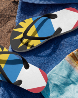 Flip Flops