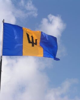 Island Flag