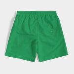 Guyana Flag Swim Trunks