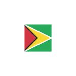 Guyana Flag Temporary Tattoo