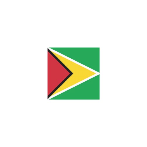 Guyana Flag Temporary Tattoo