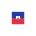 Haiti Flag Temporary Tattoo
