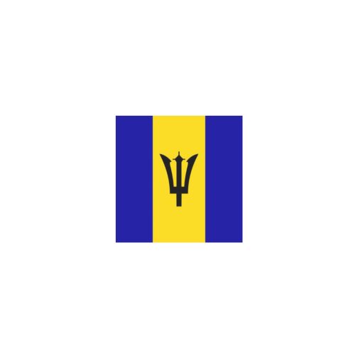 Barbados Flag Temporary Tattoo