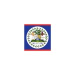 Belize Flag Temporary Tattoo