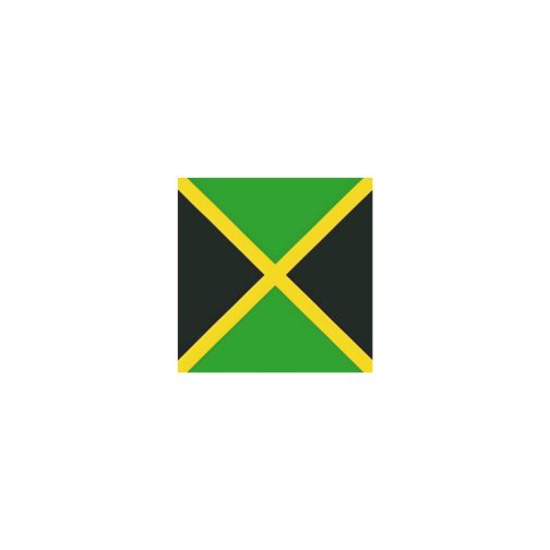 Jamaica Flag Temporary Tattoo