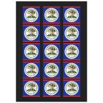 Belize Flag Temporary Tattoo